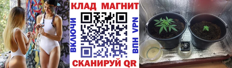 Все наркотики Елизаветинская КОКАИН Меф мяу мяу Гашиш Бутират Бошки Шишки